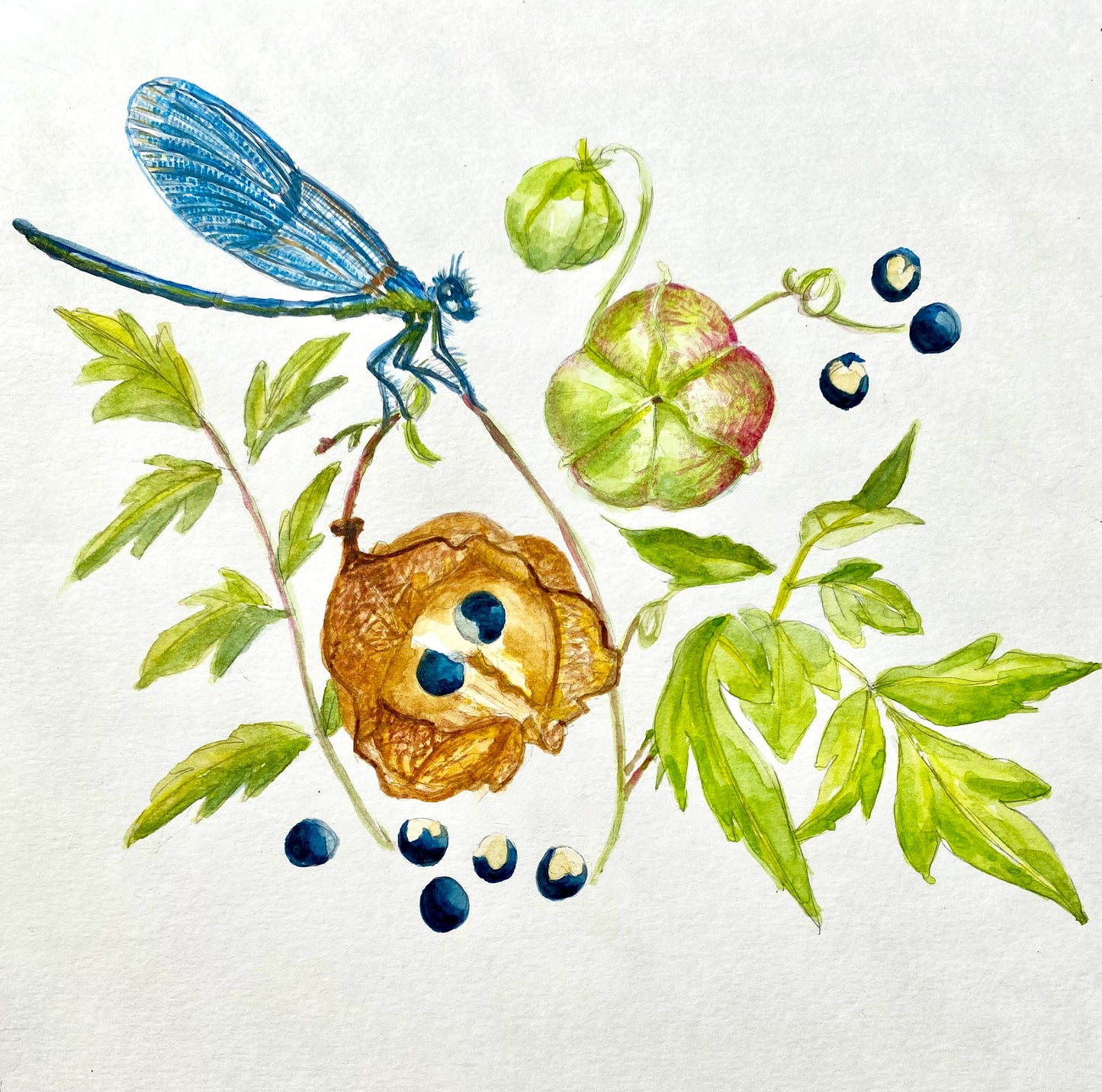 LOVE IN A PUFF VINE earrings